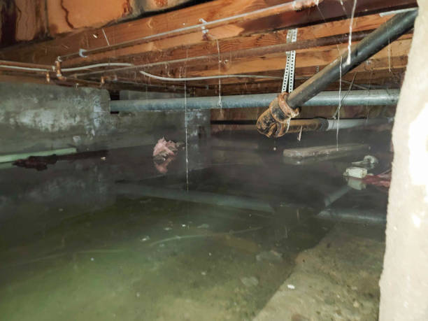 Best Water damage restoration company  in Double Oak, TX