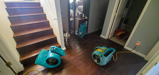 Best Water damage cleanup near me  in Double Oak, TX