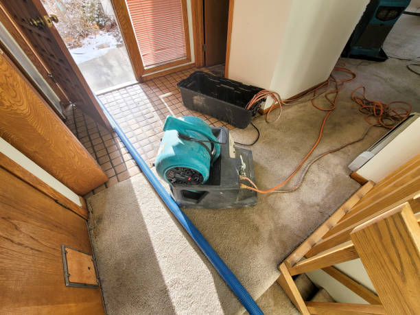 Best Carpet water damage restoration  in Double Oak, TX