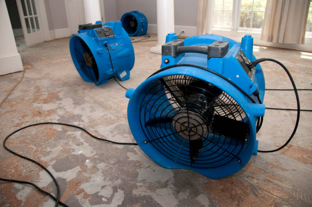 Best Sewage cleanup and water damage restoration  in Double Oak, TX