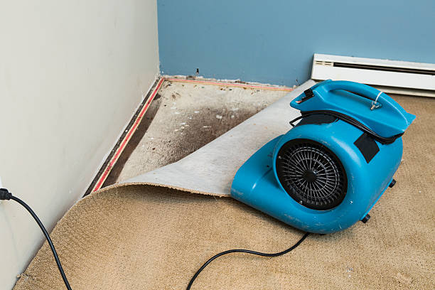 Best Fire Damage Restoration  in Double Oak, TX